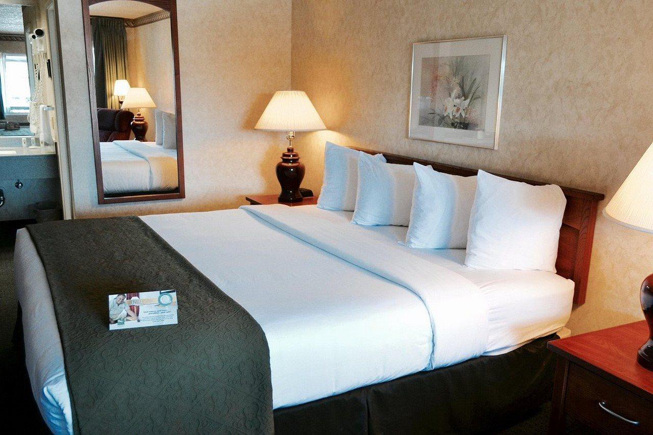 Quality Inn & Suites Silicon Valley Santa Clara Eksteriør bilde