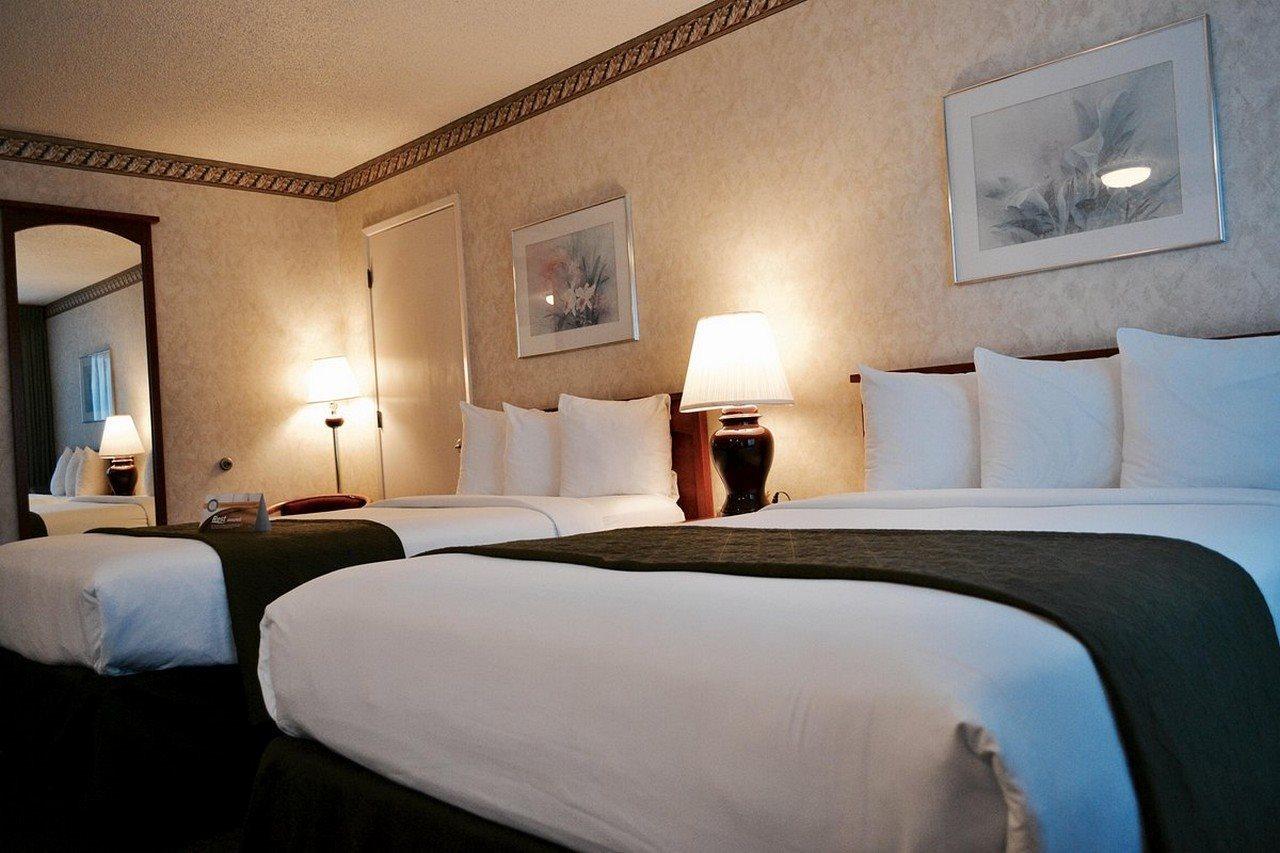 Quality Inn & Suites Silicon Valley Santa Clara Eksteriør bilde