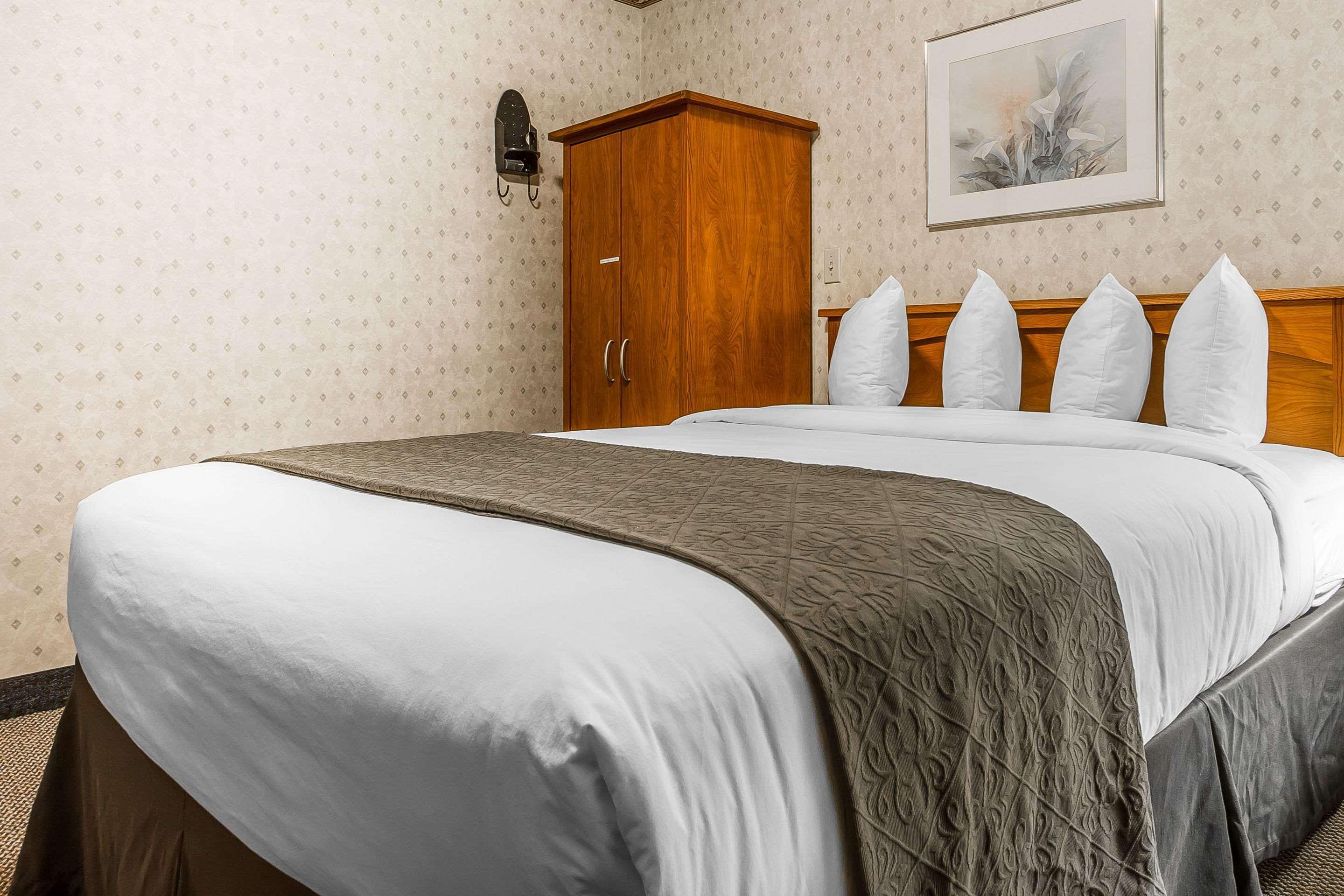 Quality Inn & Suites Silicon Valley Santa Clara Eksteriør bilde